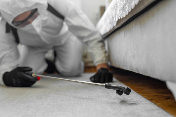 Professional Termite Control technician working in Berkeley Lake, GA